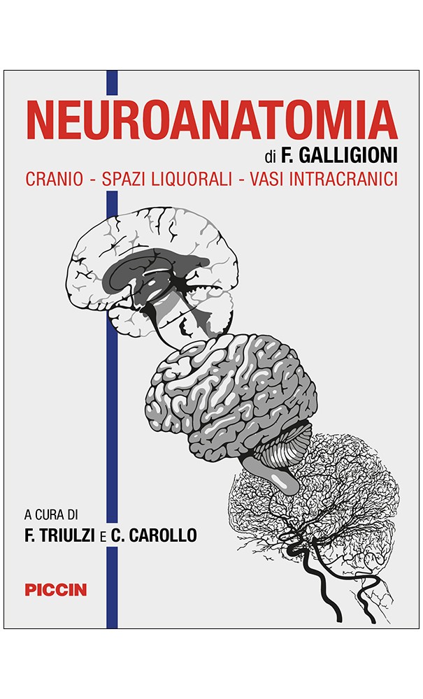 Neuroanatomia di F. Galligioni. Cranio - spazi liquorali - vasi intracranici