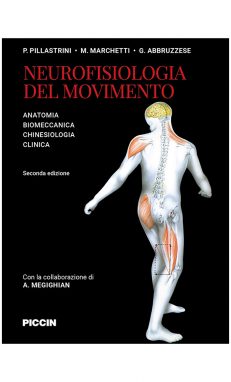 Neurofisiologia del movimento