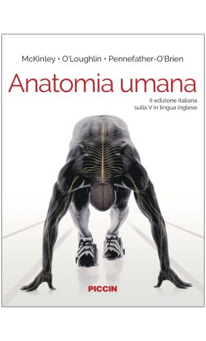 Anatomia umana
