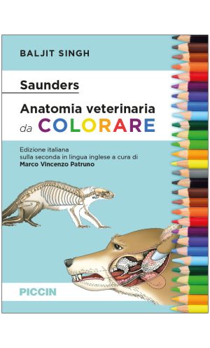 Anatomia veterinaria da colorare