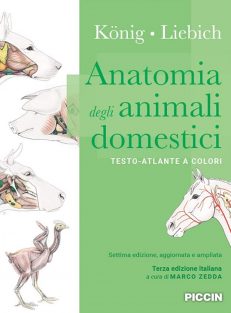 Anatomia degli animali domestici