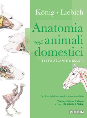 Anatomia degli animali domestici