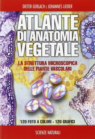 Atlante di anatomia vegetale
