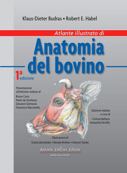 Atlante illustrato di anatomia del bovino