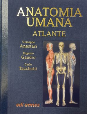Anatomia Umana. Atlante