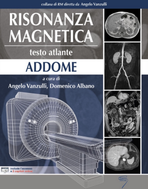 Risonanza Magnetica - Addome - Vanzulli - Albano