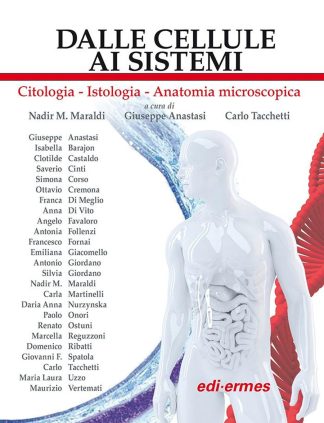 Dalle Cellule ai Sistemi