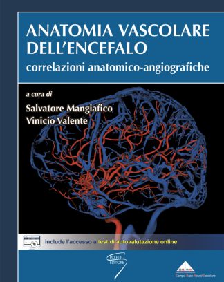 Anatomia Vascolare dell' Encefalo: correlazioni anatomico - angiografiche