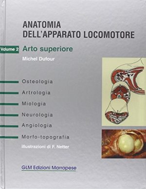 Anatomia dell'apparato locomotore: 2
