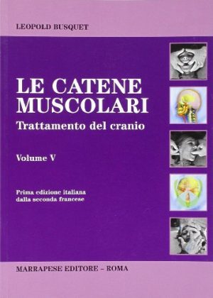 Catene muscolari: 5