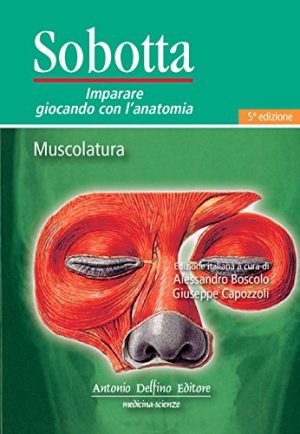 Sobotta. Giocando con l'anatomia. Muscolatura