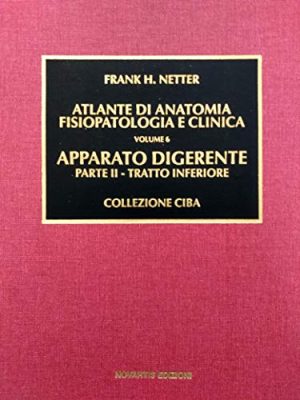 Apparato digerente: 2
