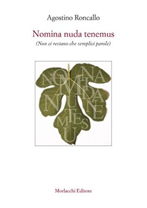 Nomina nuda tenemus (non ci restano che semplici parole)