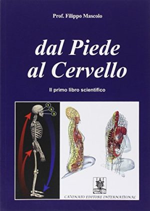 Dal piede al cervello