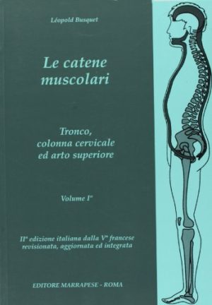 Le catene muscolari: 1