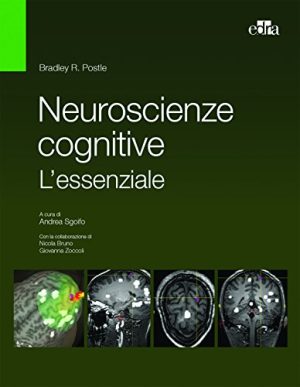 Neuroscienze cognitive. L'essenziale