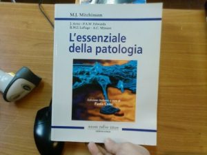 L'essenziale della patologia