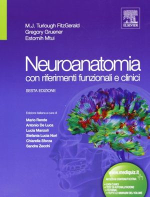 Neuroanatomia con riferimenti funzionali e clinici. Ediz. illustrata