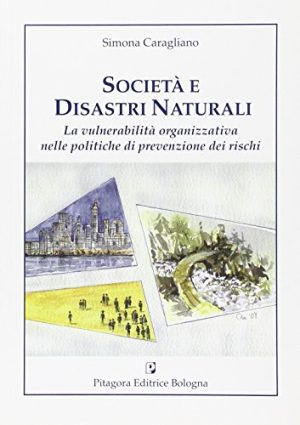 Società e disastri naturali. La vulnerabilità organizzativa nelle politiche di prevenzione dei rischi