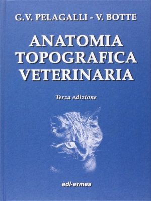 Anatomia topografica veterinaria