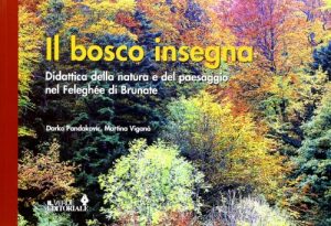 Il bosco insegna. Didattica della natura e del paesaggio nel Felenghée di Brunate